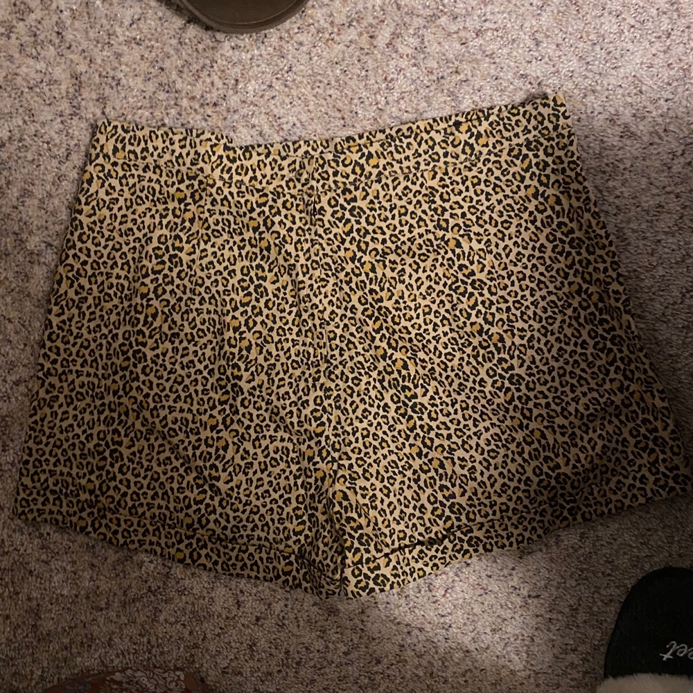 Stop Staring! leopard print shorts NWOT